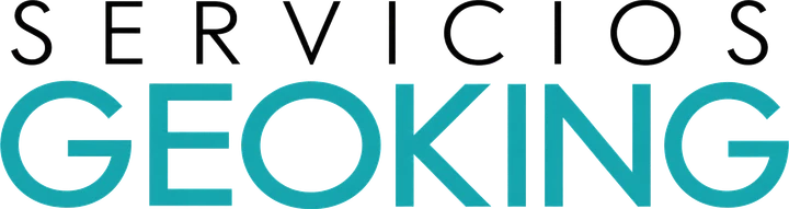 Logo de Servicios GeoKing